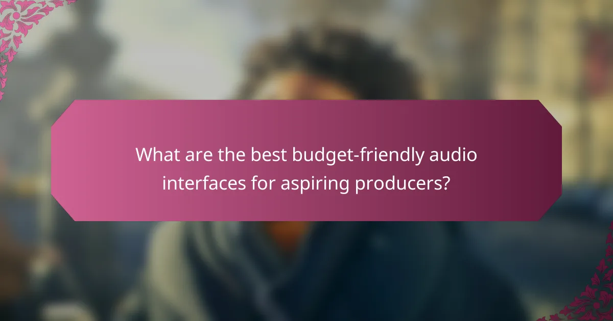 What are the best budget-friendly audio interfaces for aspiring producers?