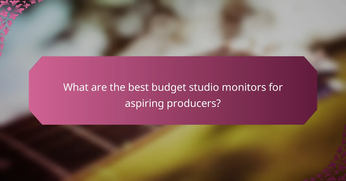 What are the best budget studio monitors for aspiring producers?